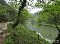 新寧縣水廟鎮(zhèn)打造綠色走廊  創(chuàng)建生態(tài)家園