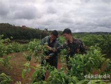 “雖然脫下了軍裝，但宗旨不能變”