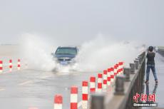 江西鄱陽湖畔再現(xiàn)“限時”景觀“水上公路”