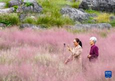 重慶酉陽：賞花武陵山間