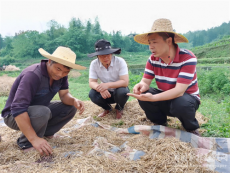 吳振華：動活坪山鄉(xiāng)村振興“三步棋”