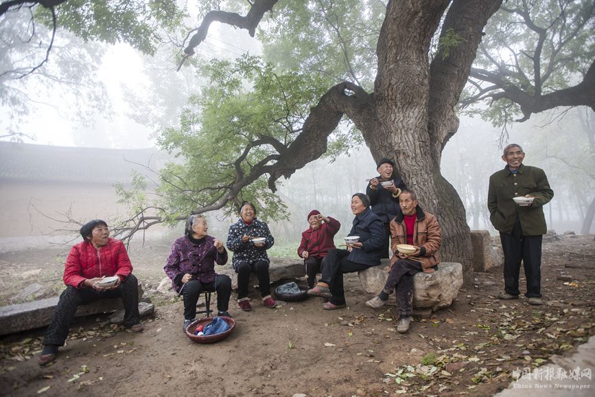 郟縣茨芭鎮(zhèn)構(gòu)樹張村村民在千年的國槐樹下拉家常。李保偉攝