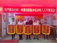 坦坪鎮(zhèn)組織召開一季度發(fā)展壯大村級集體經(jīng)濟總結(jié)大會