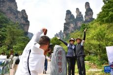 入境游持續(xù)升溫 張家界韓國游客數(shù)量大幅增長