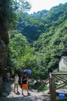 高溫帶火“避暑游”